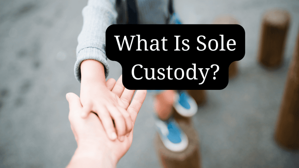 parent holding hand of child with the text what is sole custody